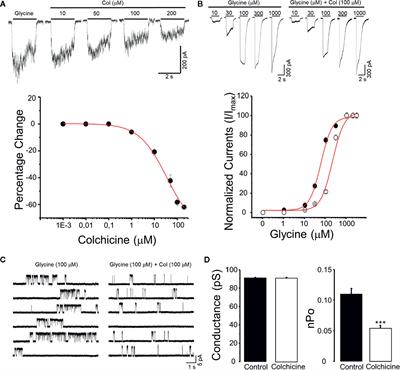 Inhibition of the Glycine Receptor alpha 3 Function by Colchicine